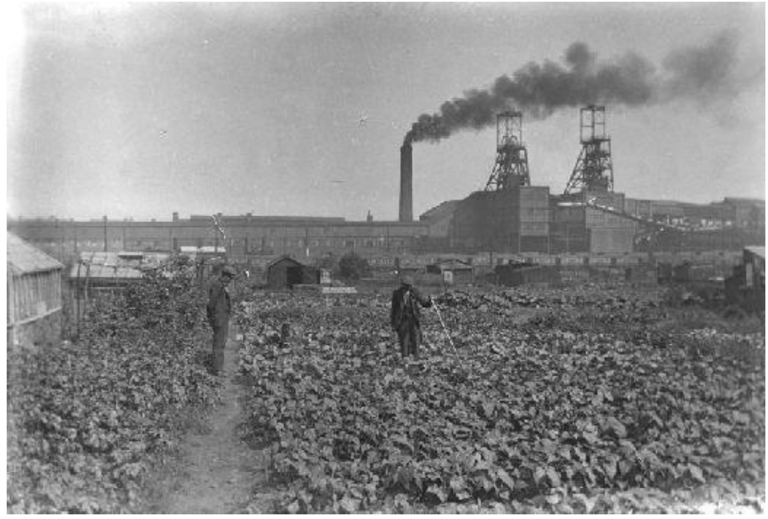 Climate | Free Full-Text | Adaptive Thinking in Cities: Urban ...