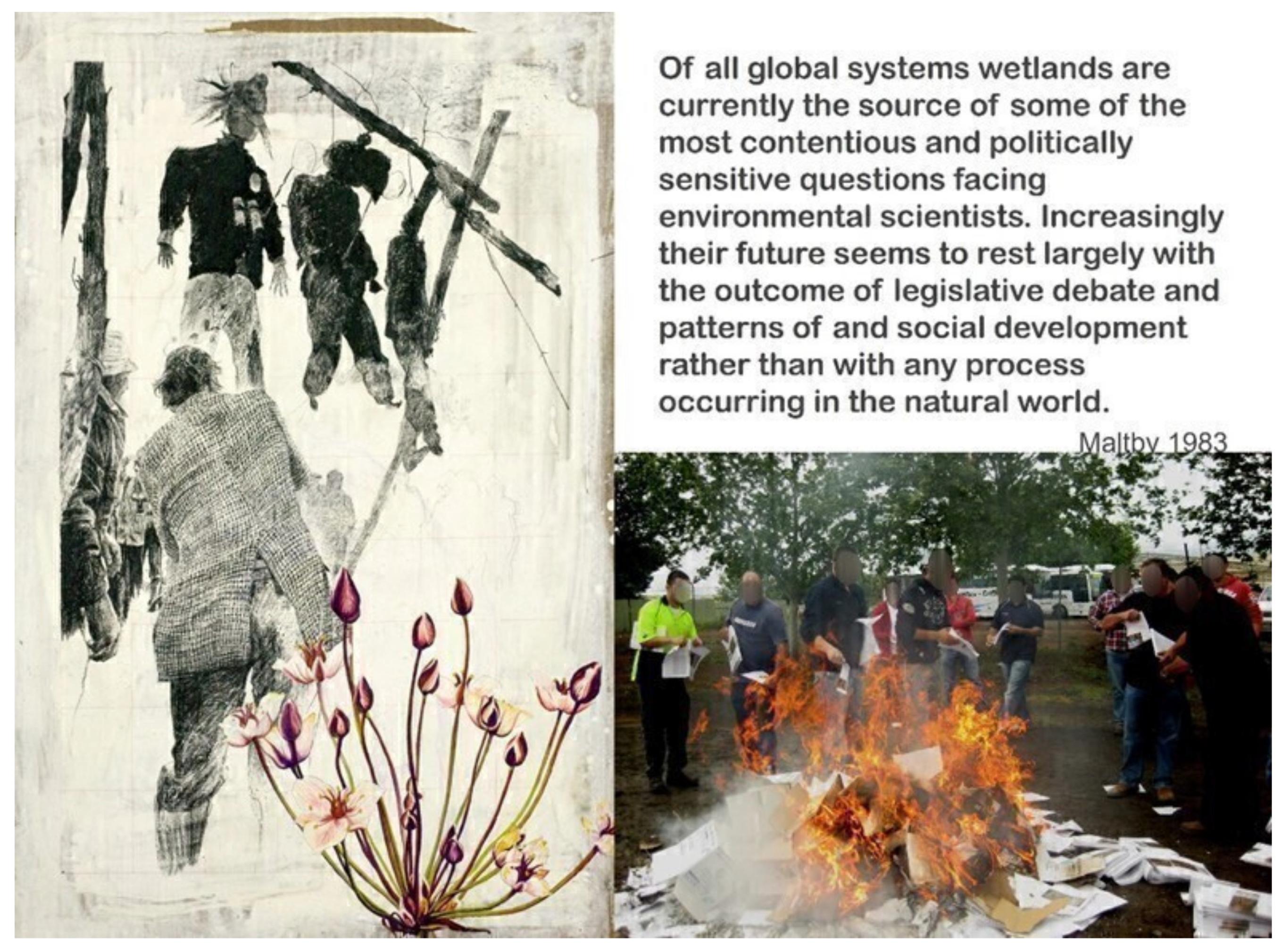 Land | Free Full-Text | The Wetlands Paradigm Shift in Response to ...
