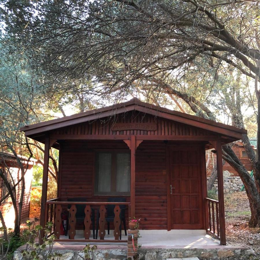 Triple Room,1000911084:JPEG