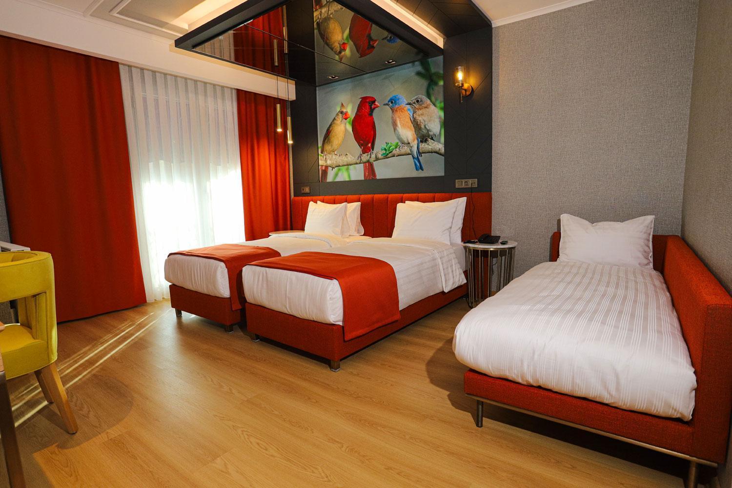 Large Double Room,1007298406:JPEG