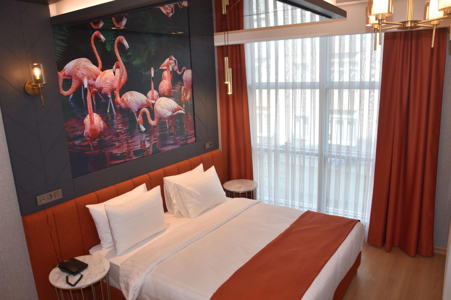 Standard Double Room,1021932694:JPEG