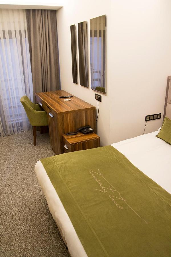 Standard Double Room,1129560318:JPEG