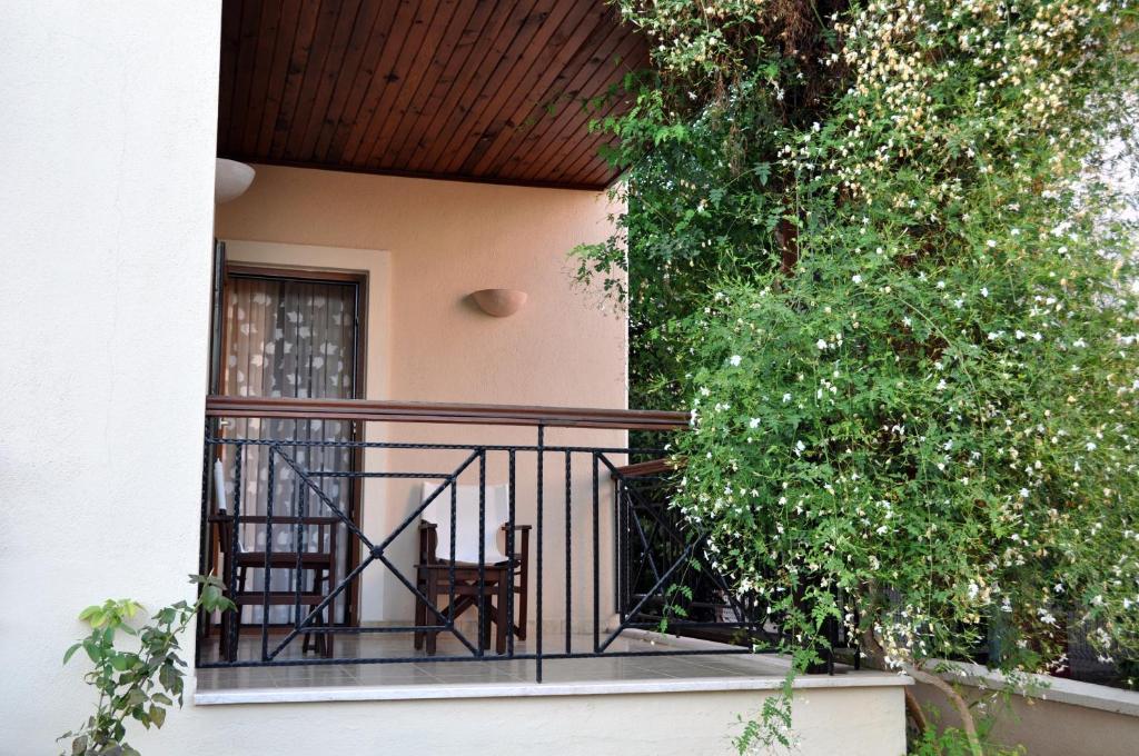 Standard Apartment (1-2 Adults),157966011:JPEG