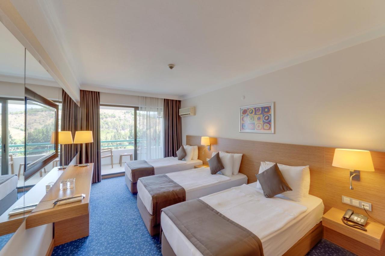 Mountain View Room