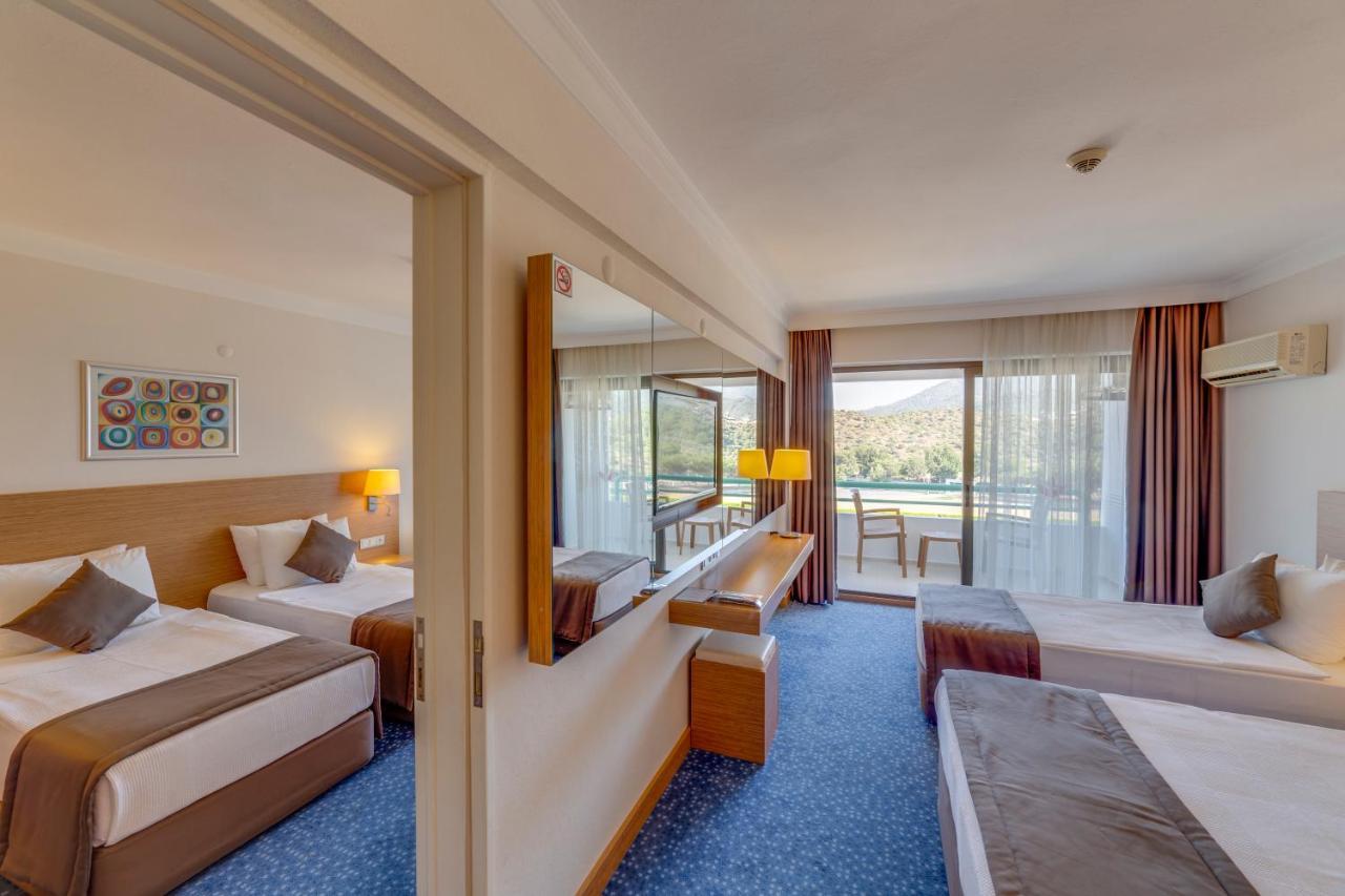 Mountain View Room