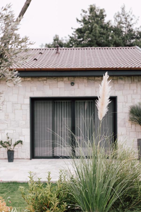 Double Room with Garden View,1185585919:JPEG