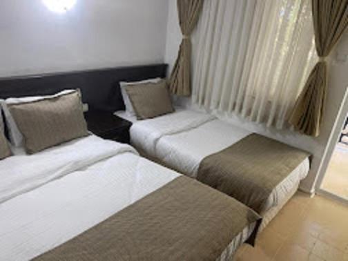 Chambre Triple Standard