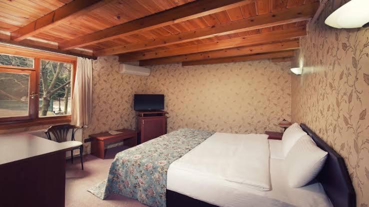 Double or Twin Room,1251198109:JPEG