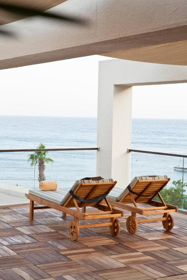 Suite Terrace