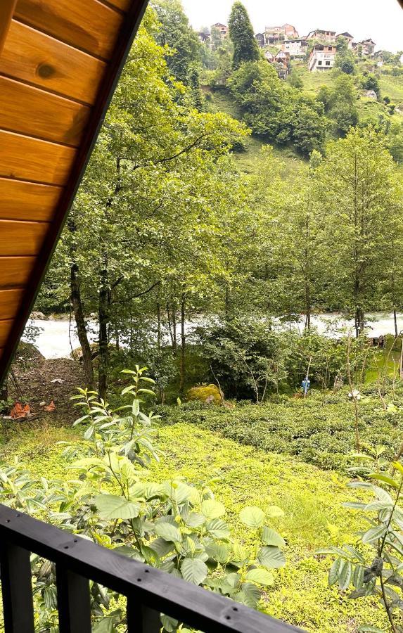 Standart Bungalov