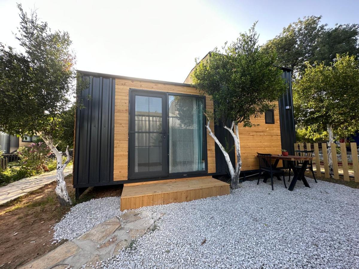 Superior Bungalow,1584892352:JPEG