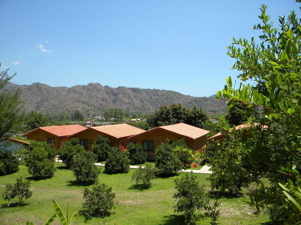 Big Villa with Garden View,143357332:JPEG