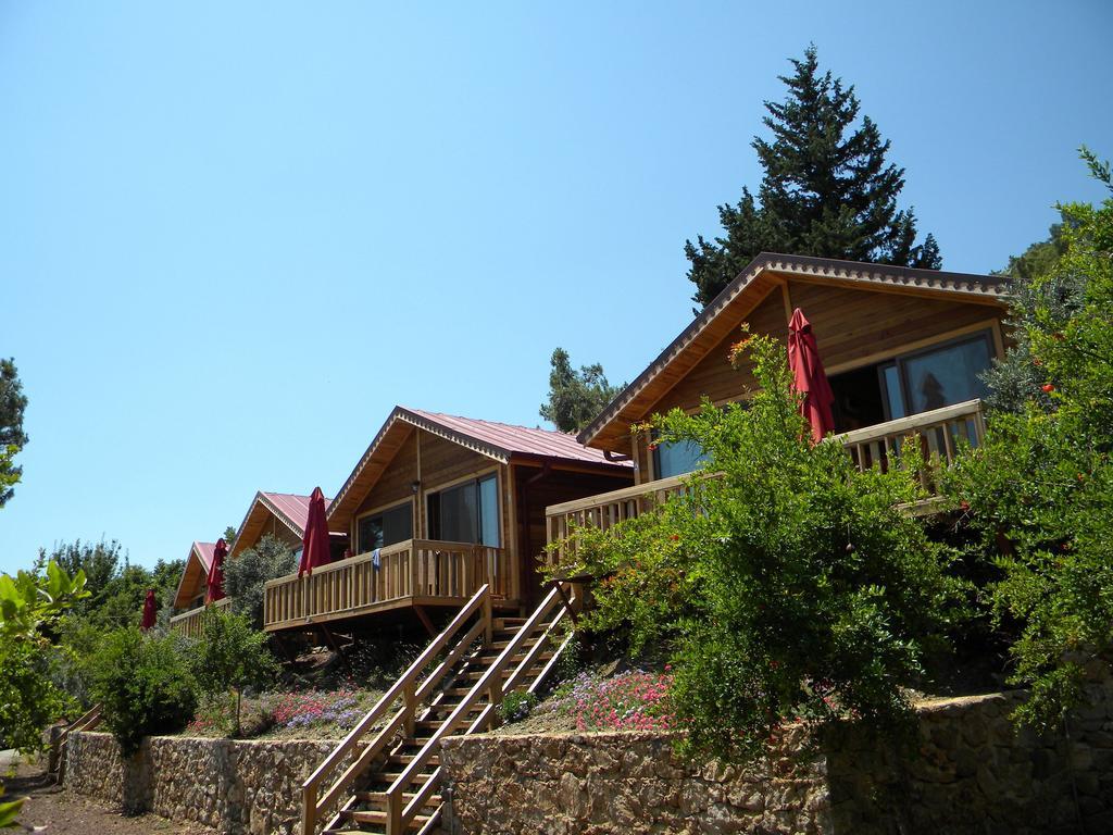 Small Villa with Garden View,153676795:JPEG