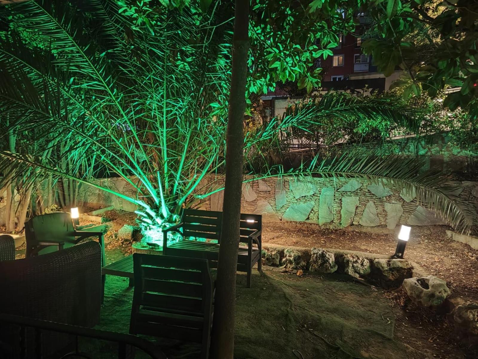 Apartment Garden View