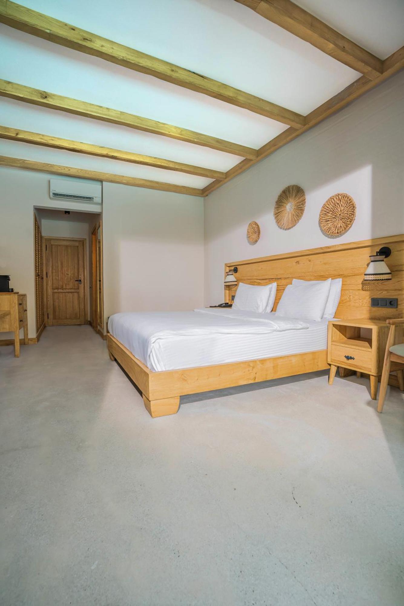 Double Room with Swimming Pool Access