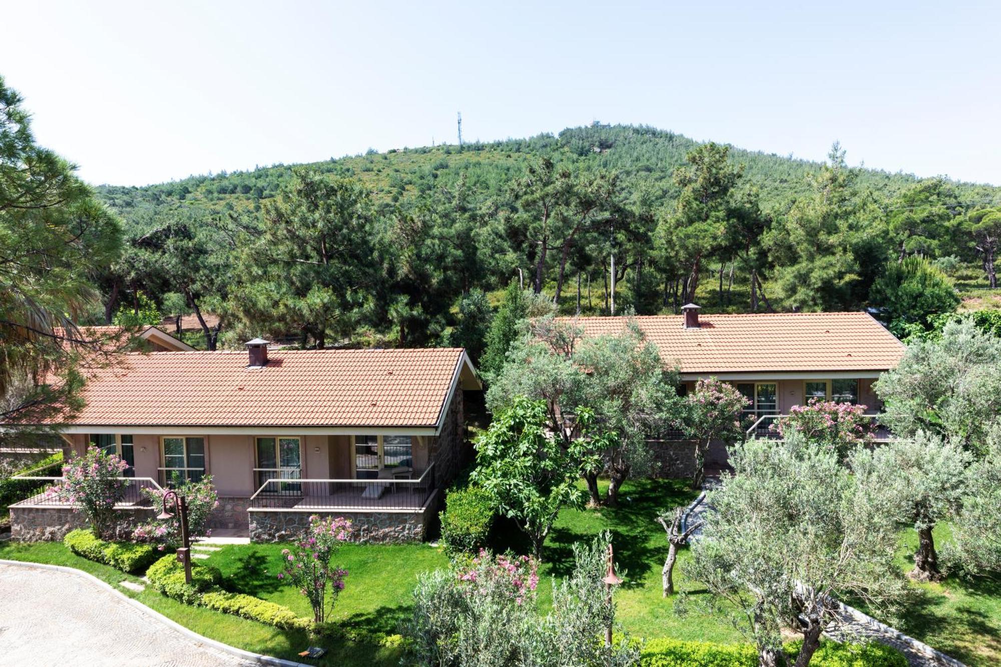 Bungalow mit Gartenblick