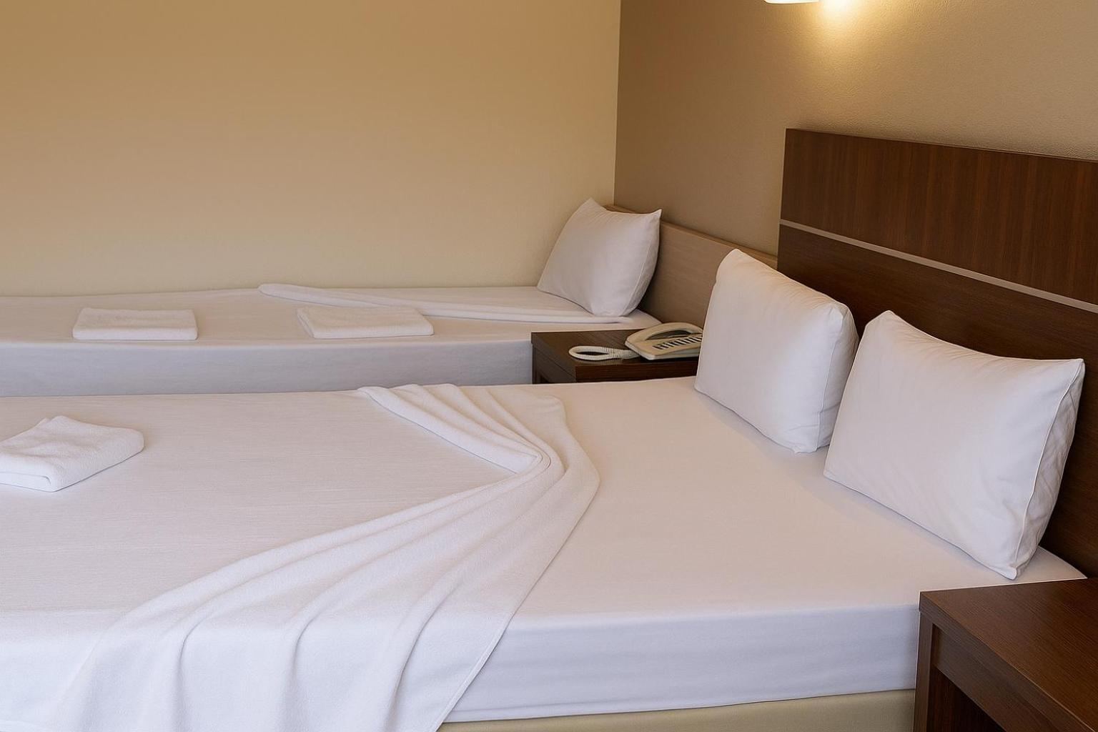 Standard Double or Twin Room,1739417602:JPEG