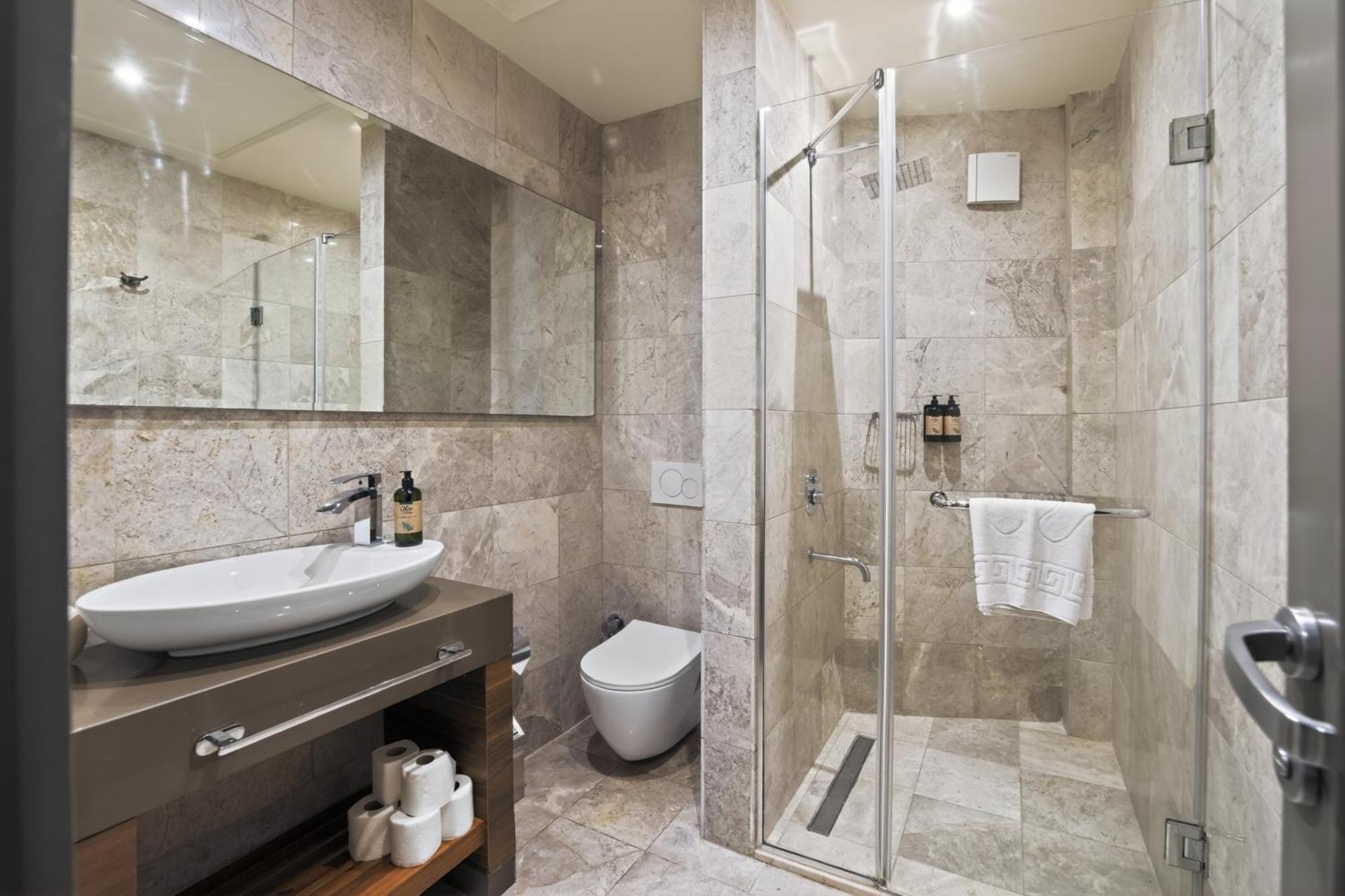 Deluxe One-Bedroom Apartment