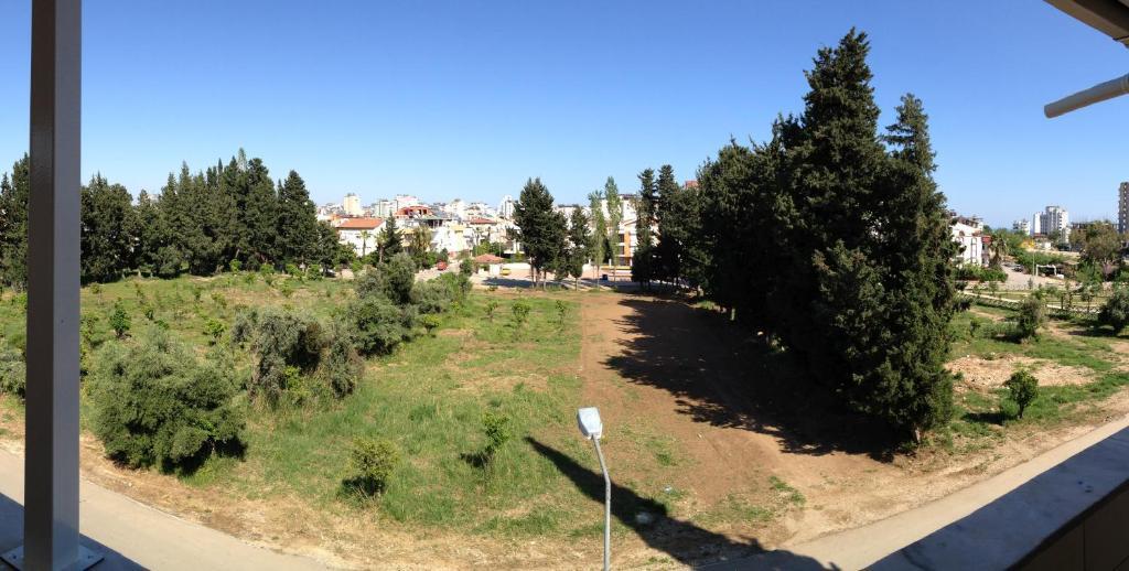 Appartamento con 1 Camera da Letto e Terrazza