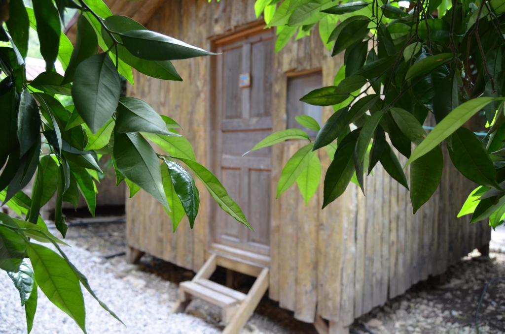 Bungalow (2 Adults)