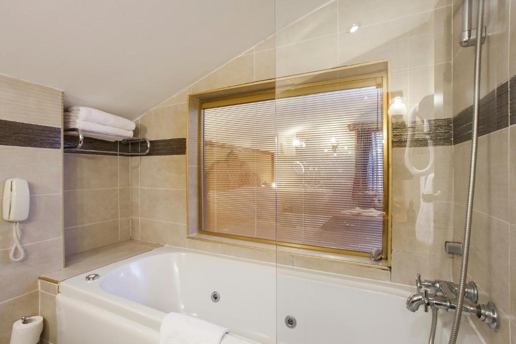 Premium Double/Twin Room with Hagia Sophia View