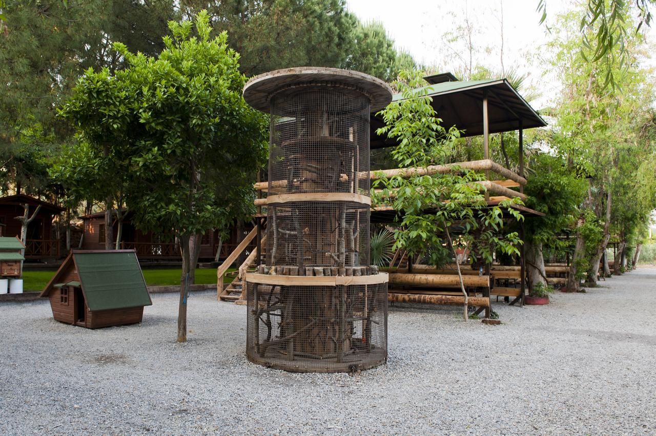 Tek Yatak Odalı Bungalov