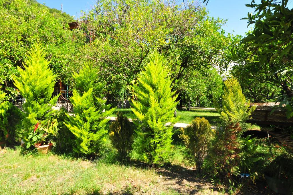 Bungalow (2 Erwachsene + 1 Kind)