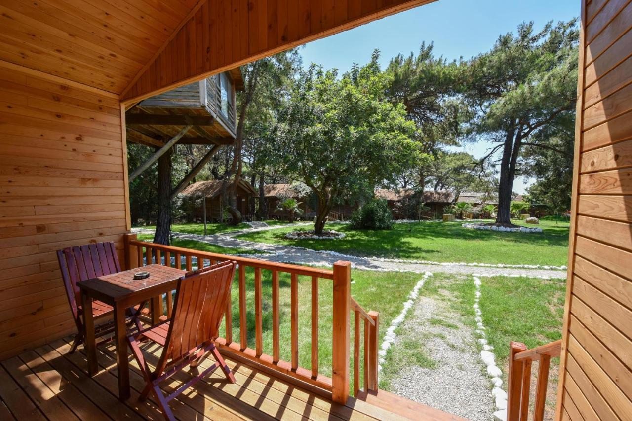 Cedar Bungalov