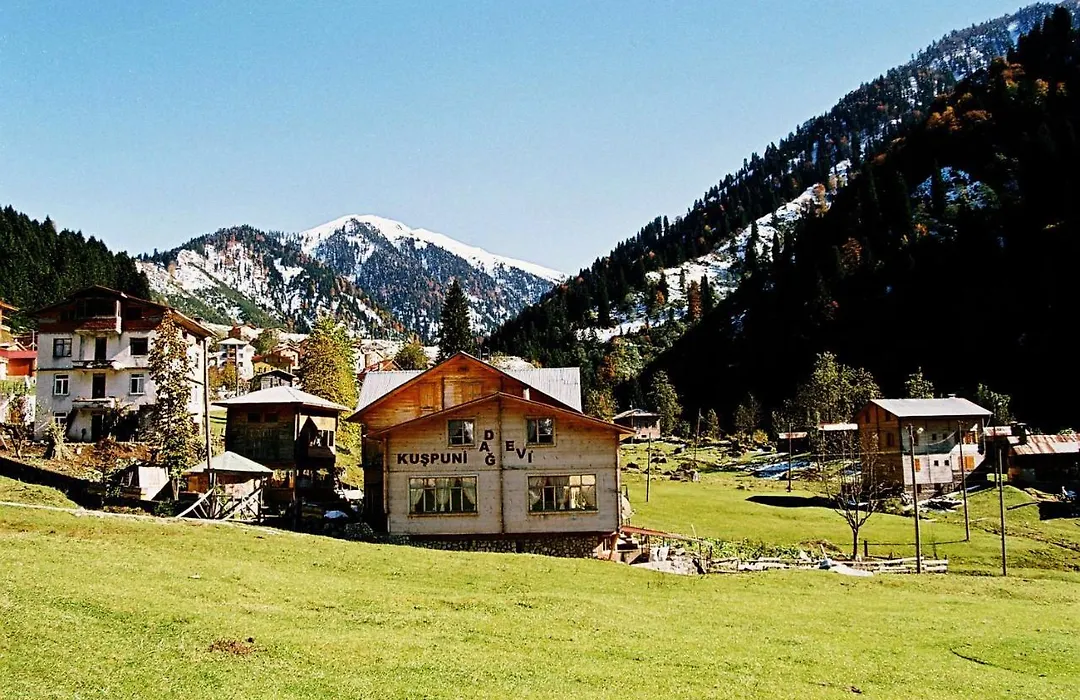 Kuşpuni Mountain Lodge-1