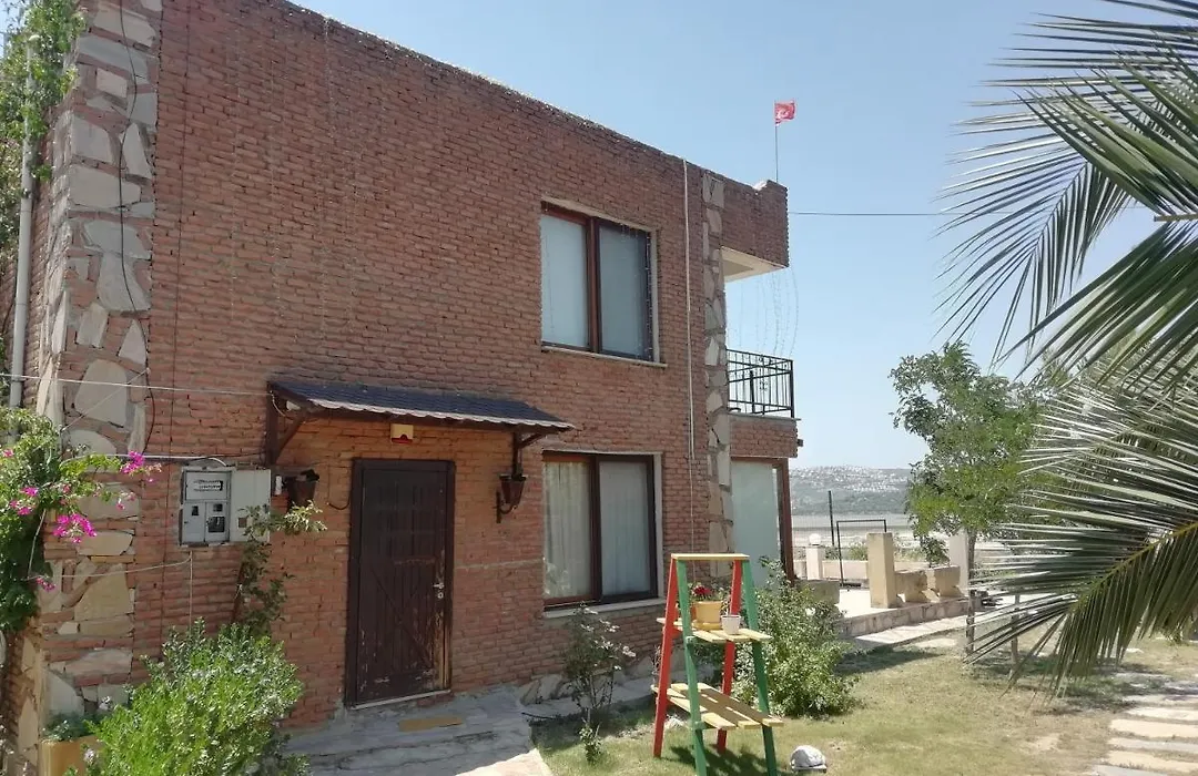 Green House Bogazici-Dodo House-1