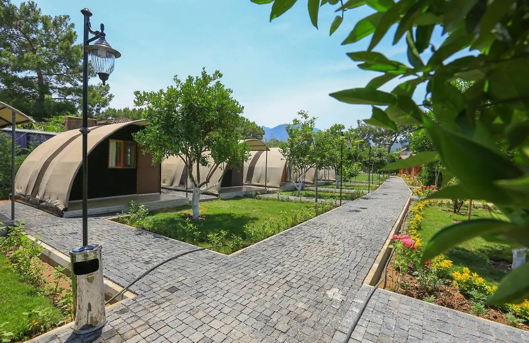 Merry Bungalow & Tent-1