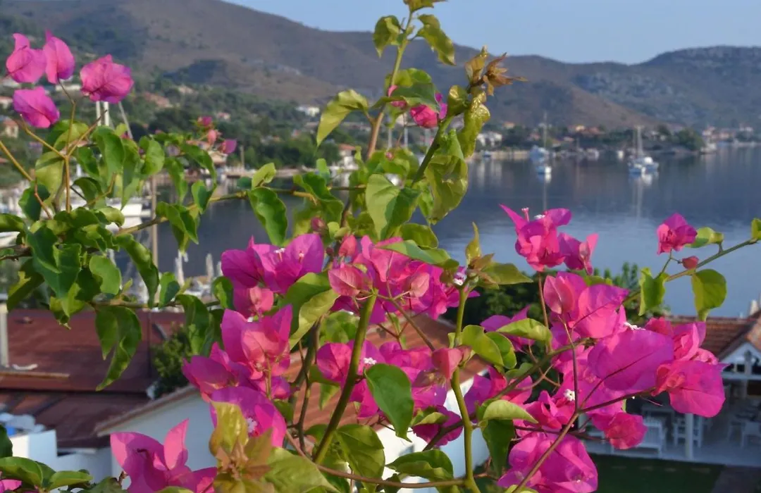 Beyaz İskele Hotel&Restaurant-1