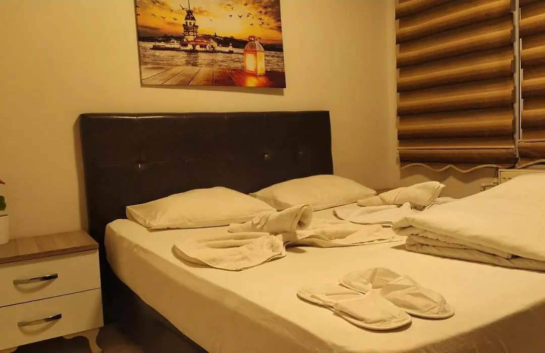 Hotel Kiwi-1