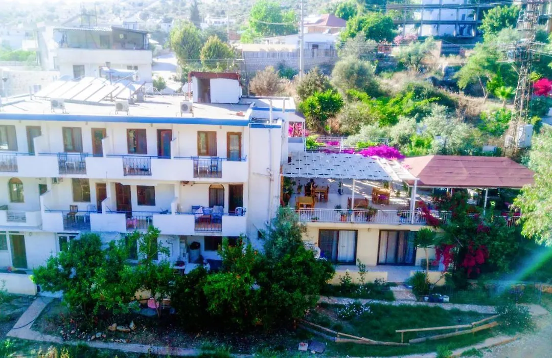 Eucalyptus Pension-1