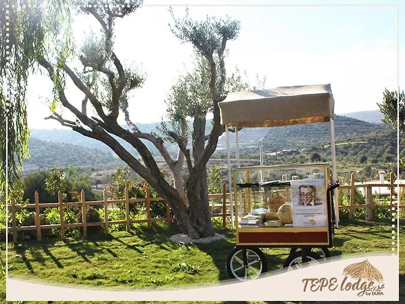 Tepe Lodge-1