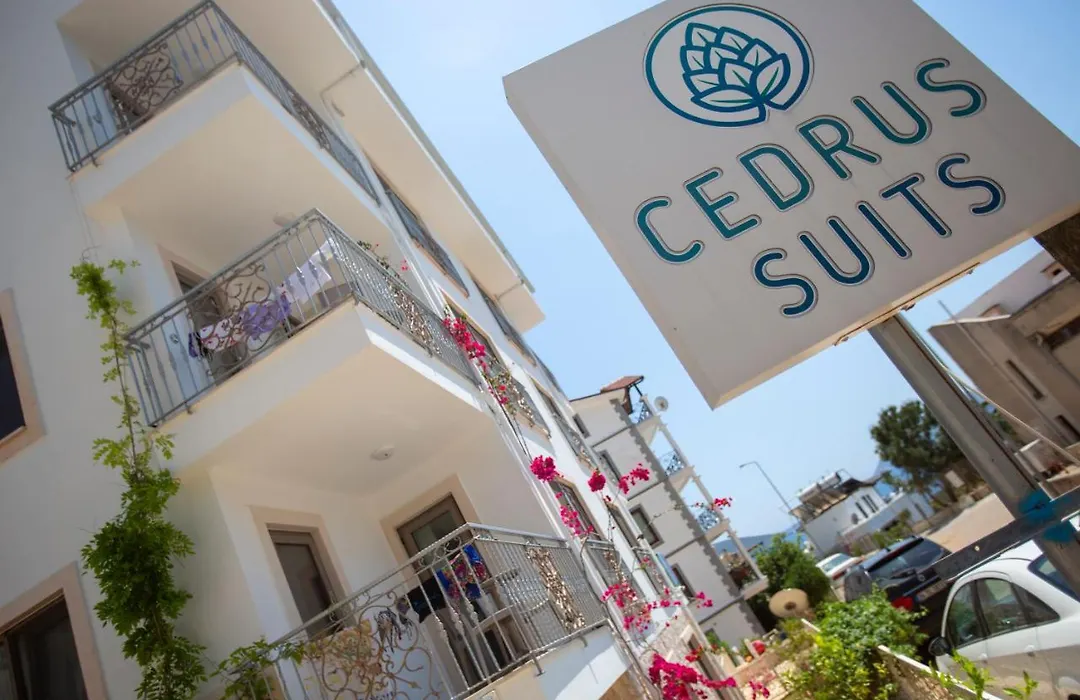 Cedrus Suites-1