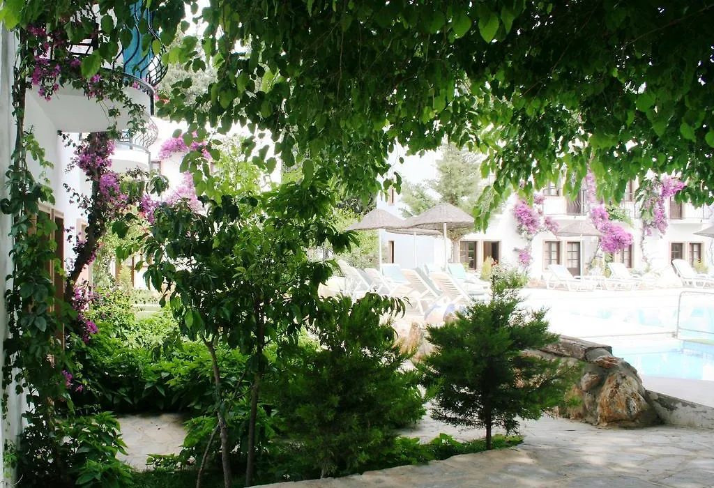 Safir Hotel-1