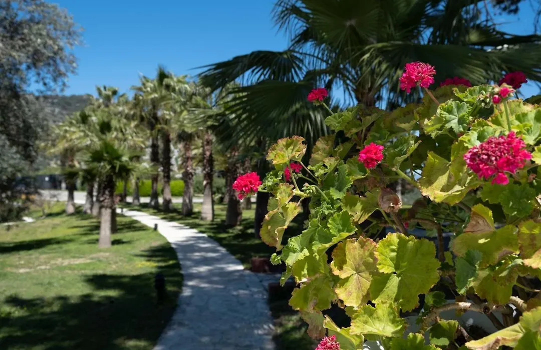 X Life Hotel Sarıgerme 15 - Adult Hotel-1