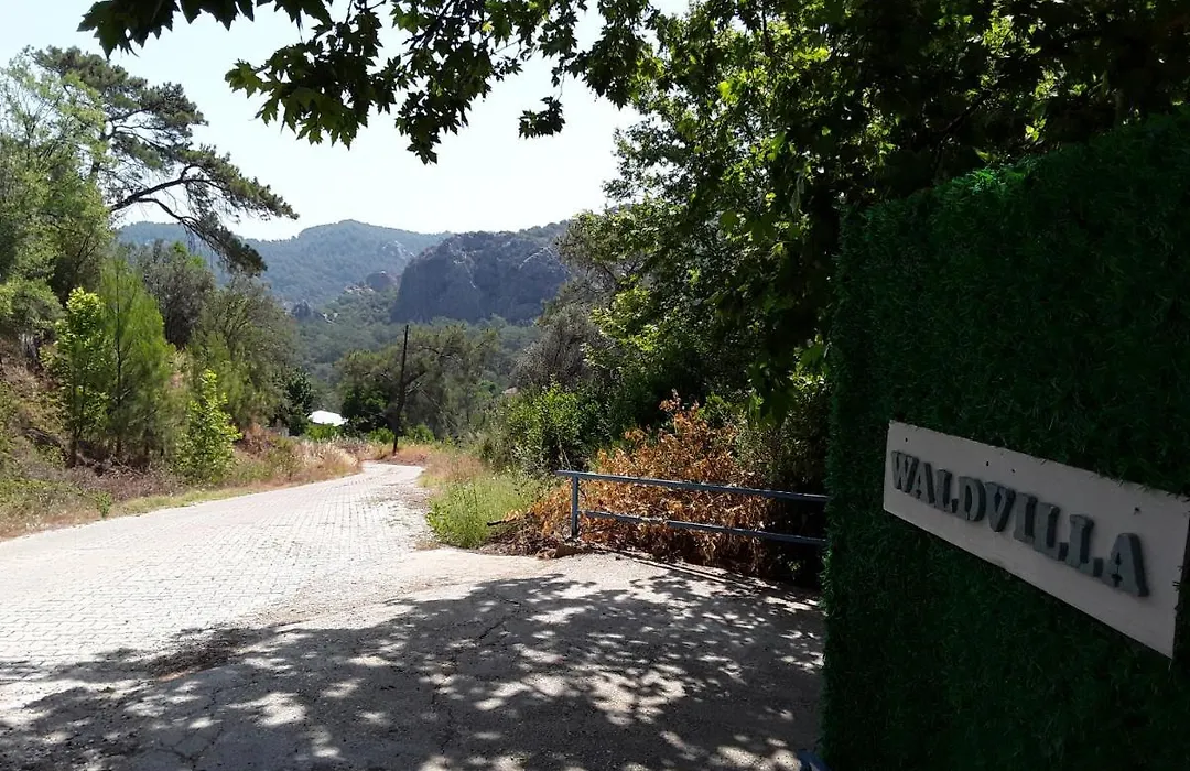 Waldvilla-1