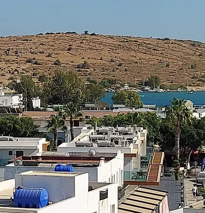 Rozetta Hotel-1