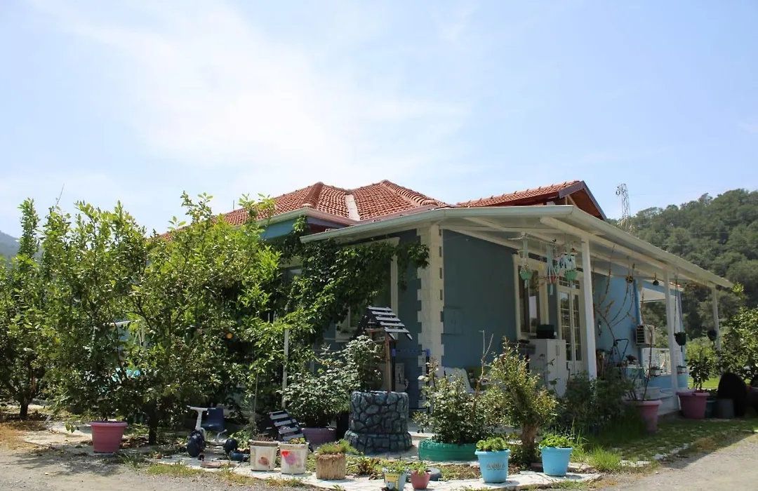 Villa Dionyssos-1