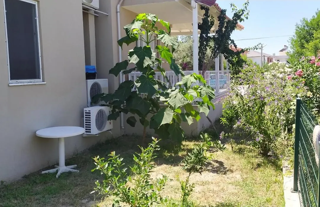 Villa Oliva-1