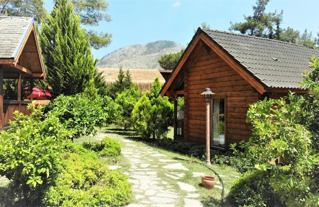 Olympos Village Relaxury Hotel-1
