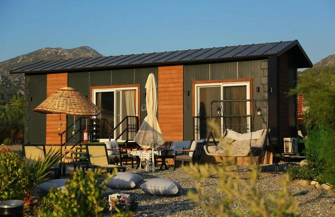Tiny House Cactus Soeguet-1
