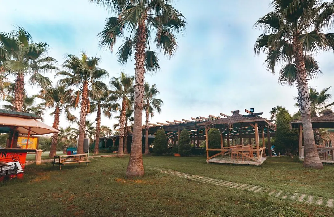 Royal Atlantis Beach-1