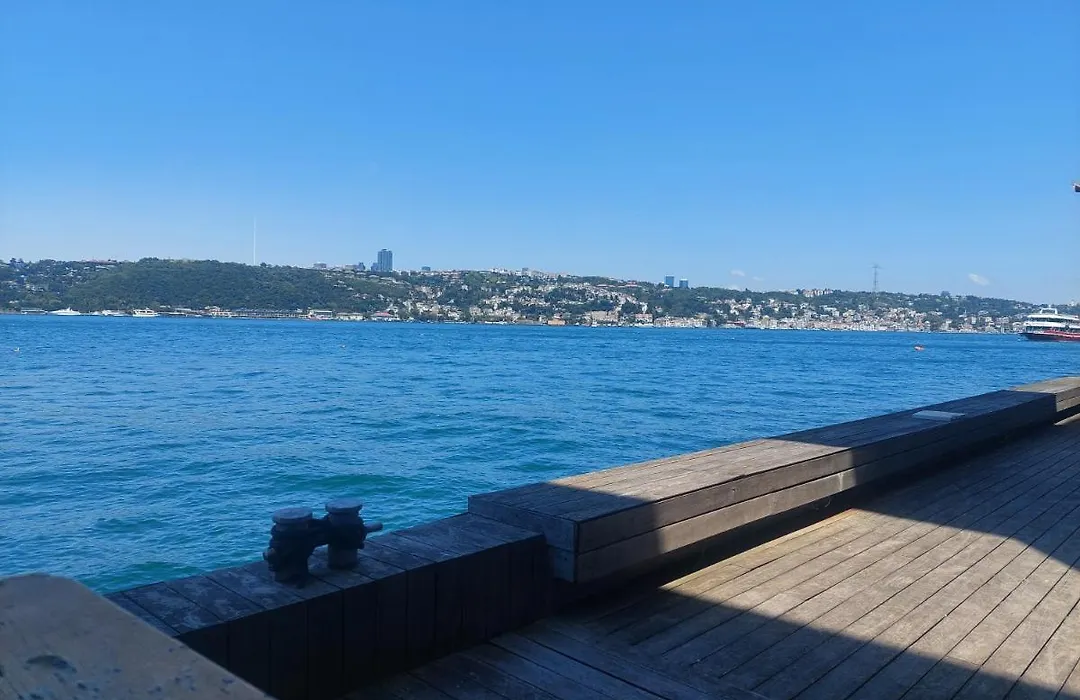 Bosphorus Mansion Will Amaze You W/ Private Duck-1