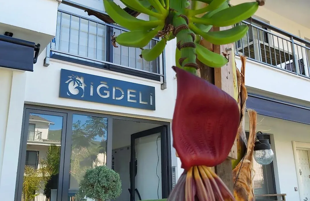 Igdeli Aparts-1
