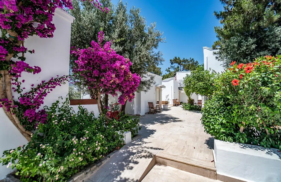 Manzara Boutique Hotel - Adults Only-1