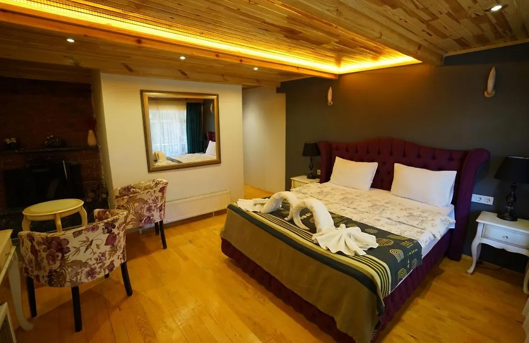 Alesta Butik Otel-1