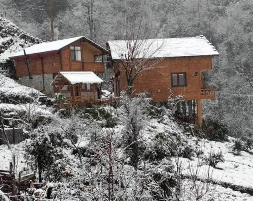 Avıtte Dağ Evlerı-1